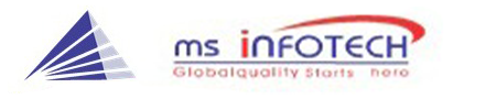 MS INFOTECH